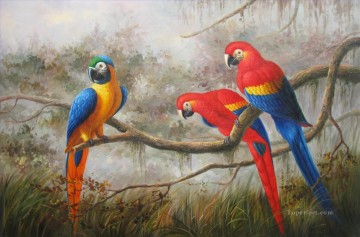 parrots on branch birds Oil Paintings